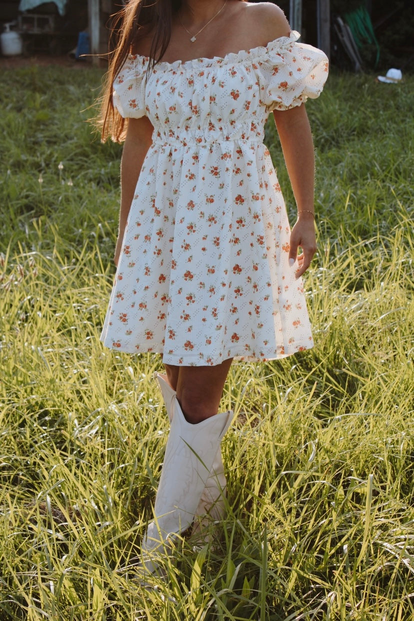 Southern Charm Dress
