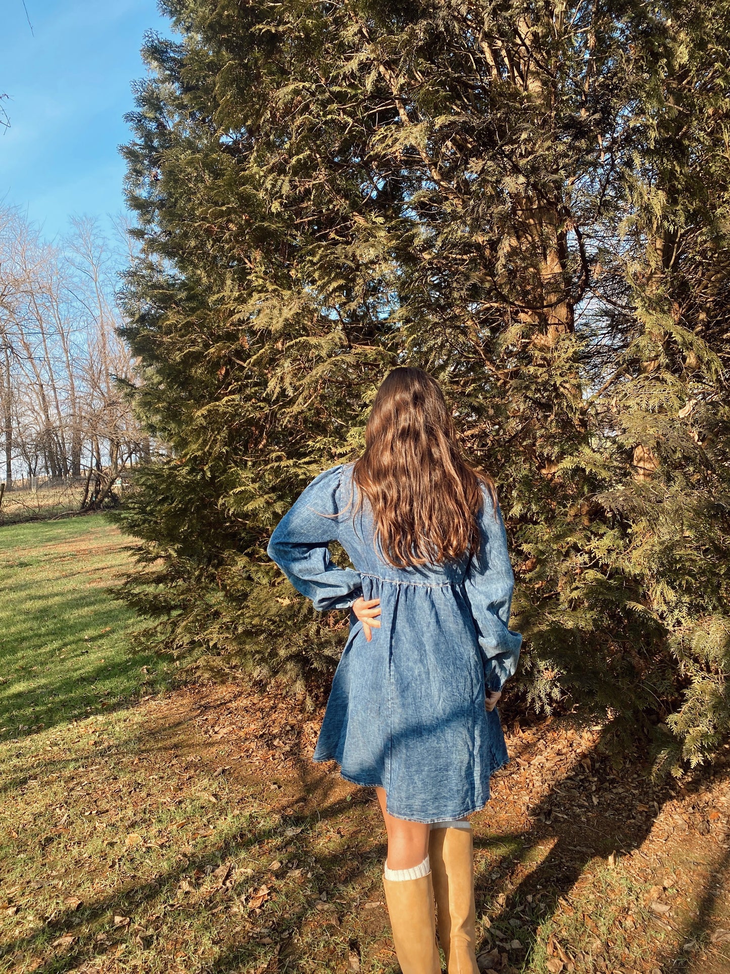 Denim Days Dress