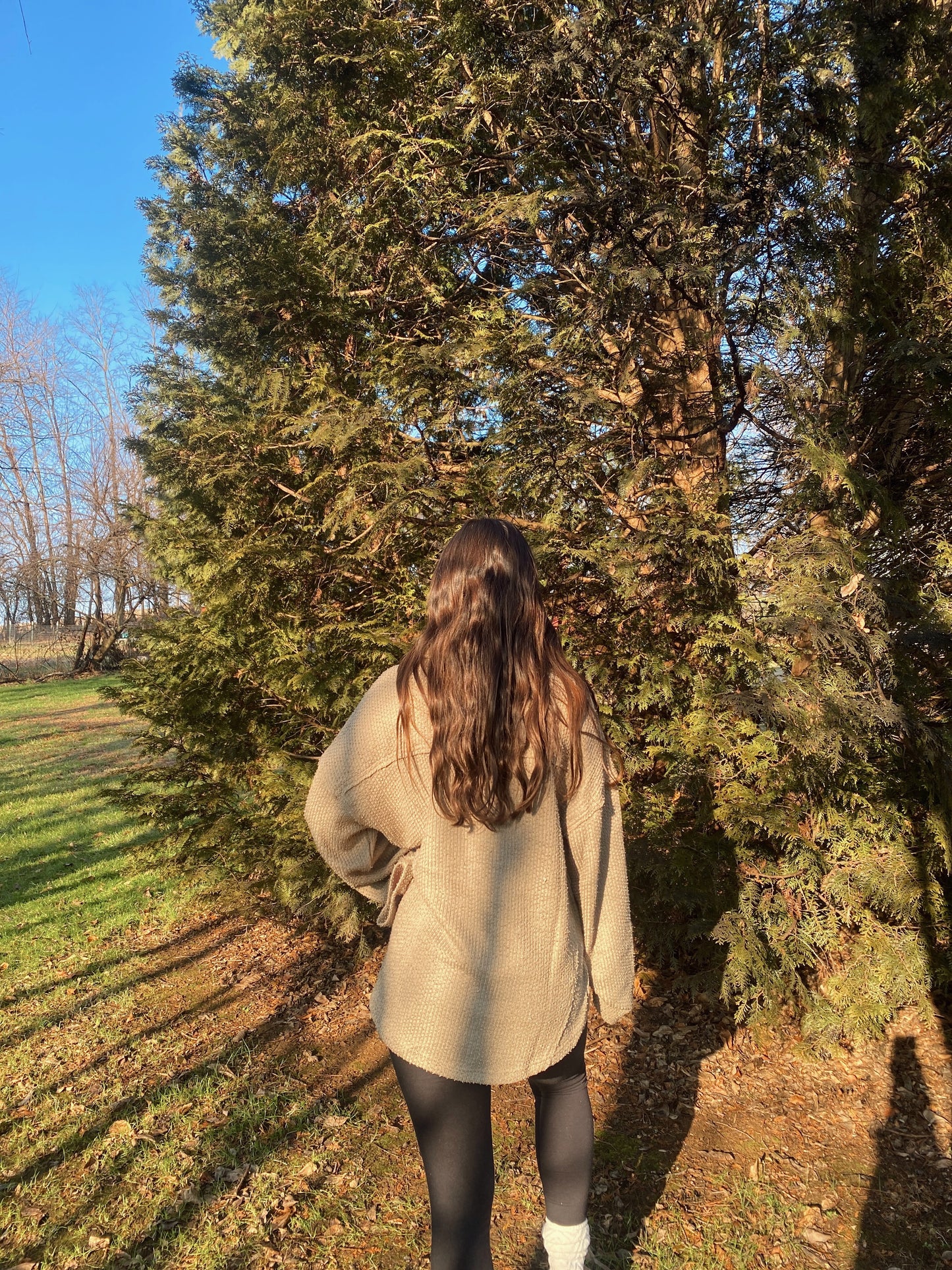 Olive Henley Knit Top