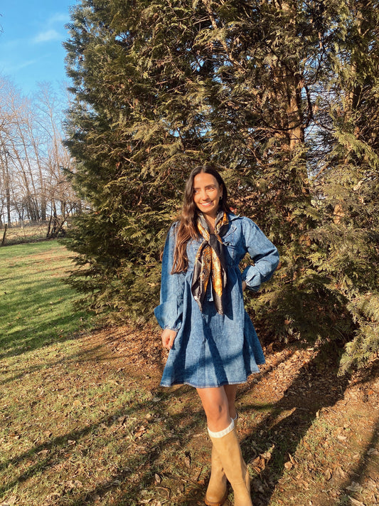 Denim Days Dress