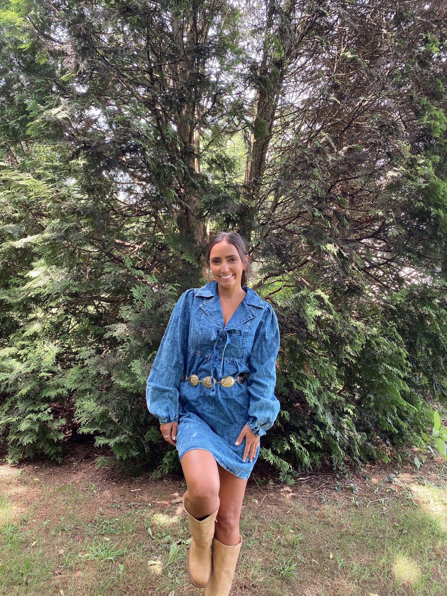 Denim Days Dress