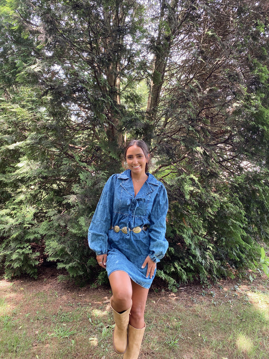 Denim Days Dress
