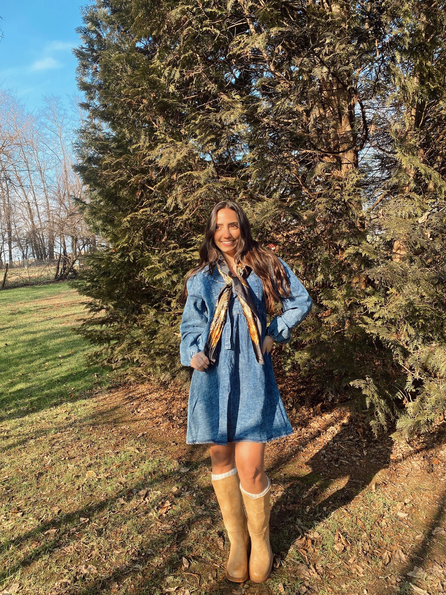 Denim Days Dress