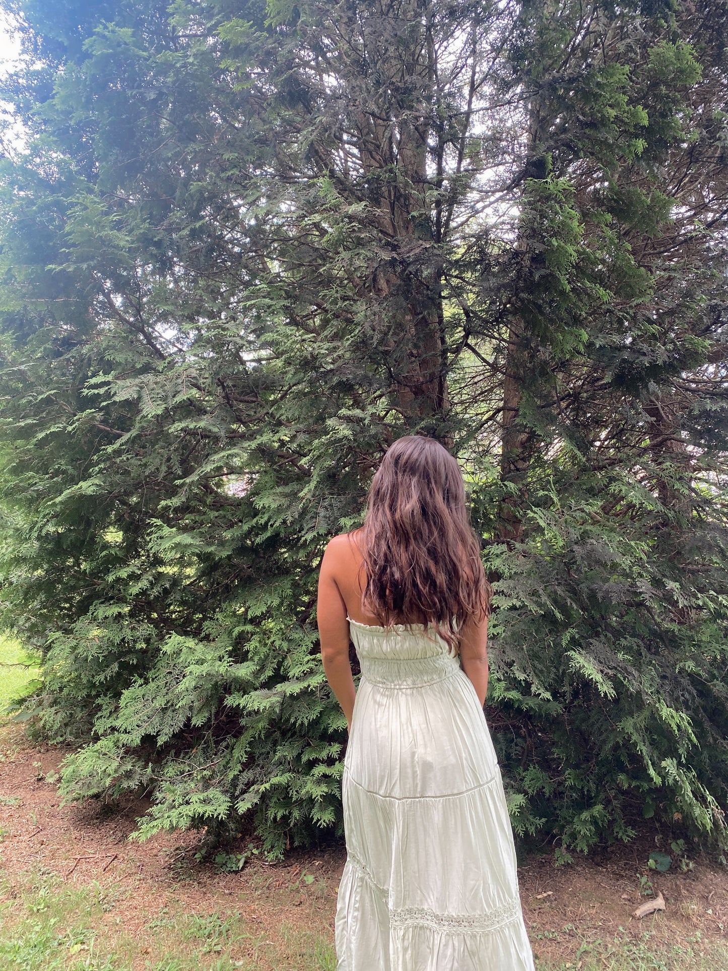 Strapless Sage Dress