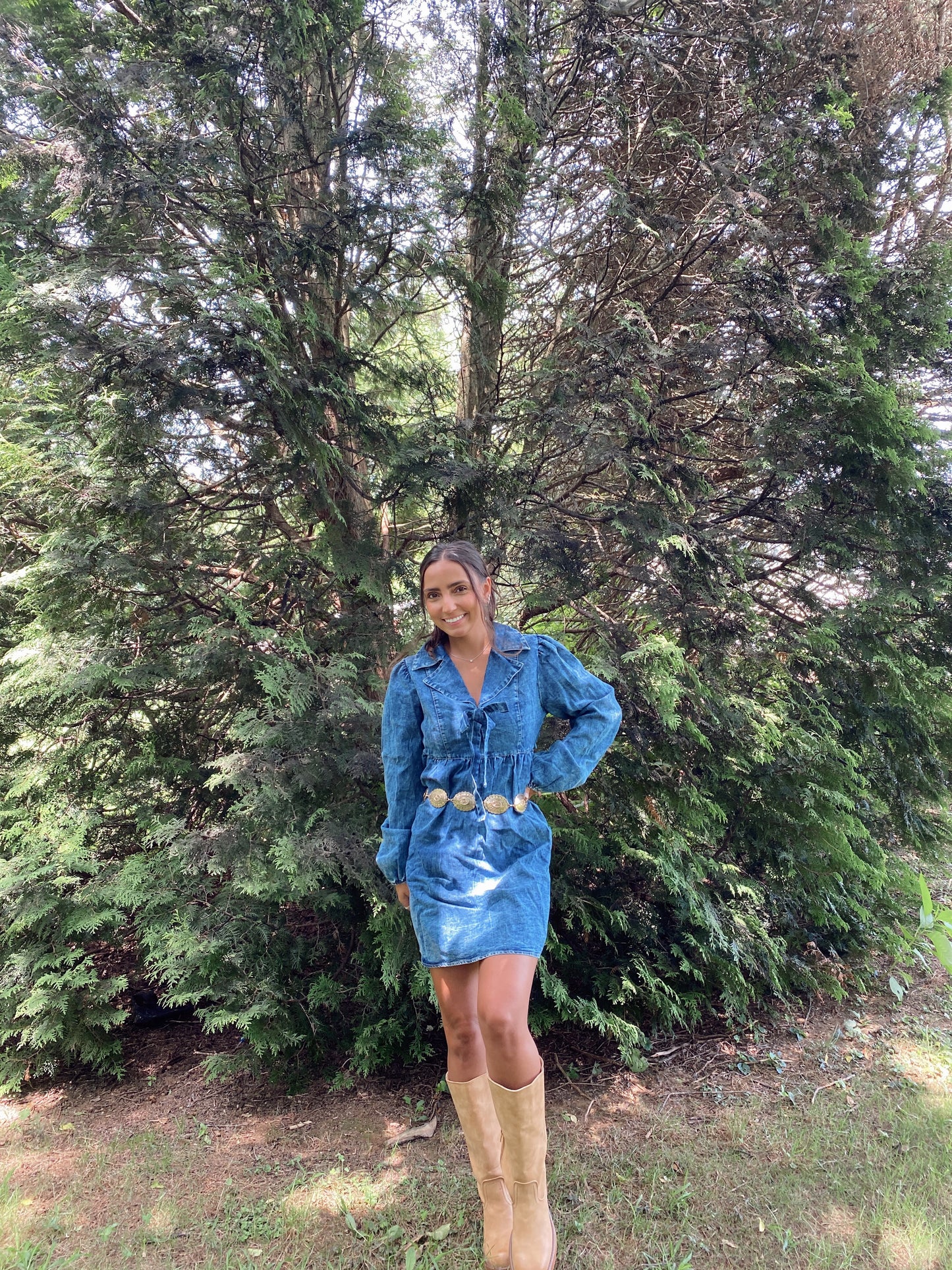 Denim Days Dress