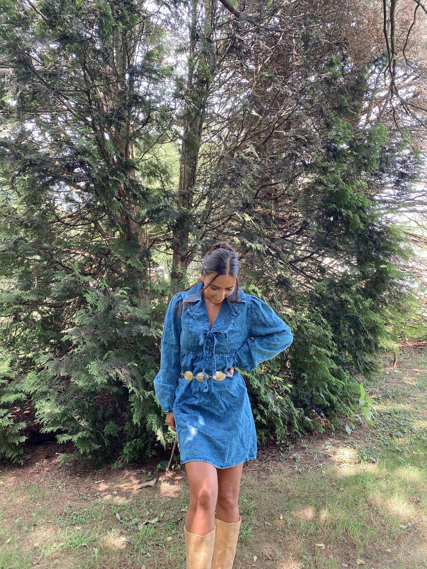Denim Days Dress