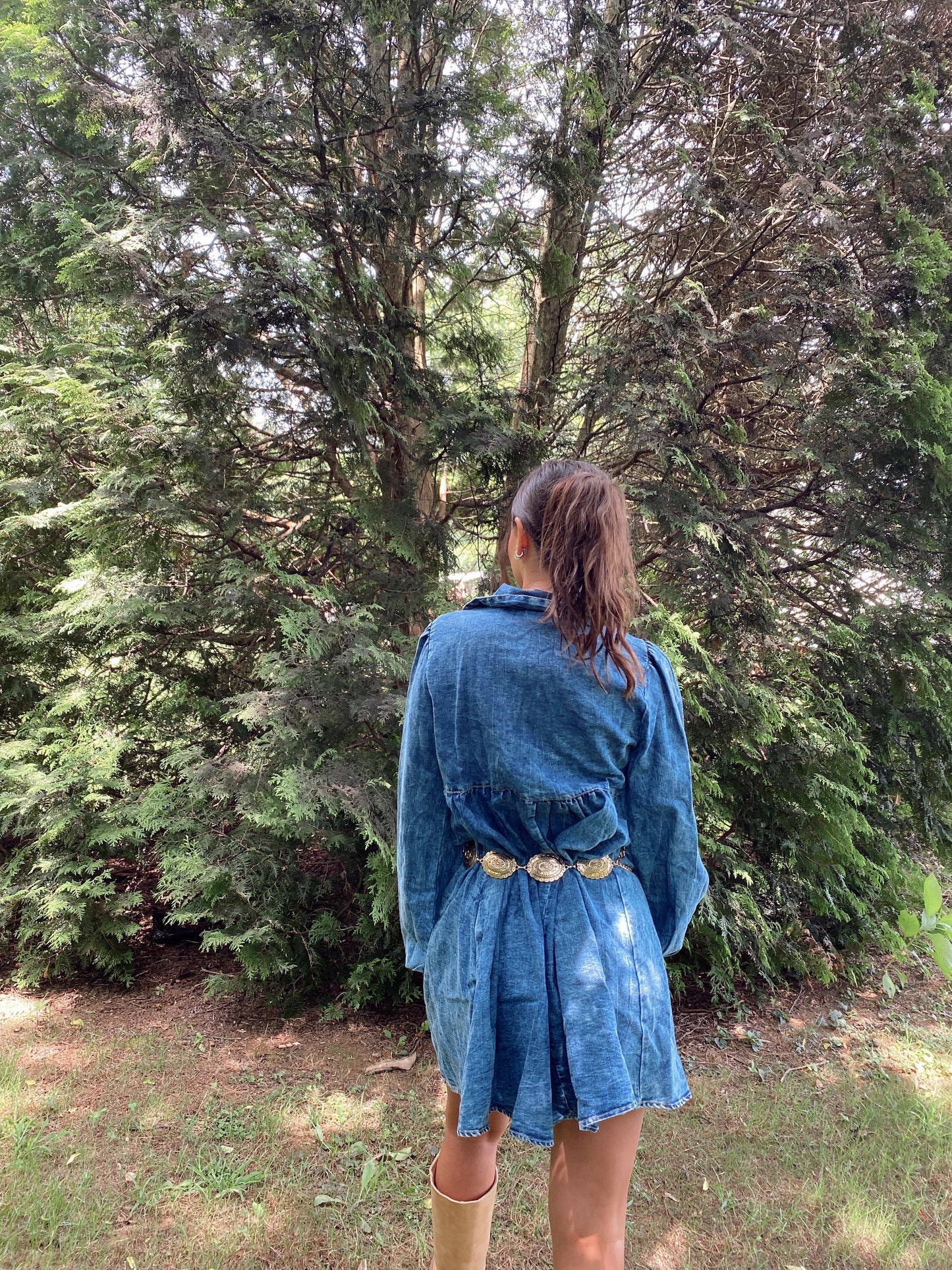 Denim Days Dress