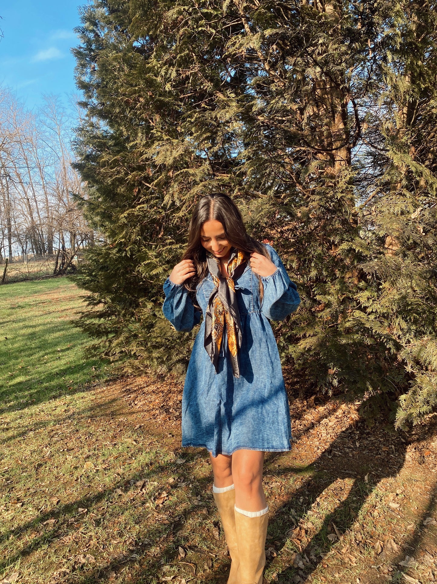 Denim Days Dress