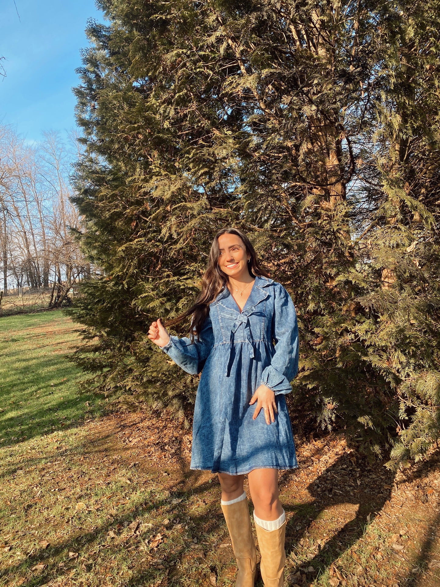 Denim Days Dress