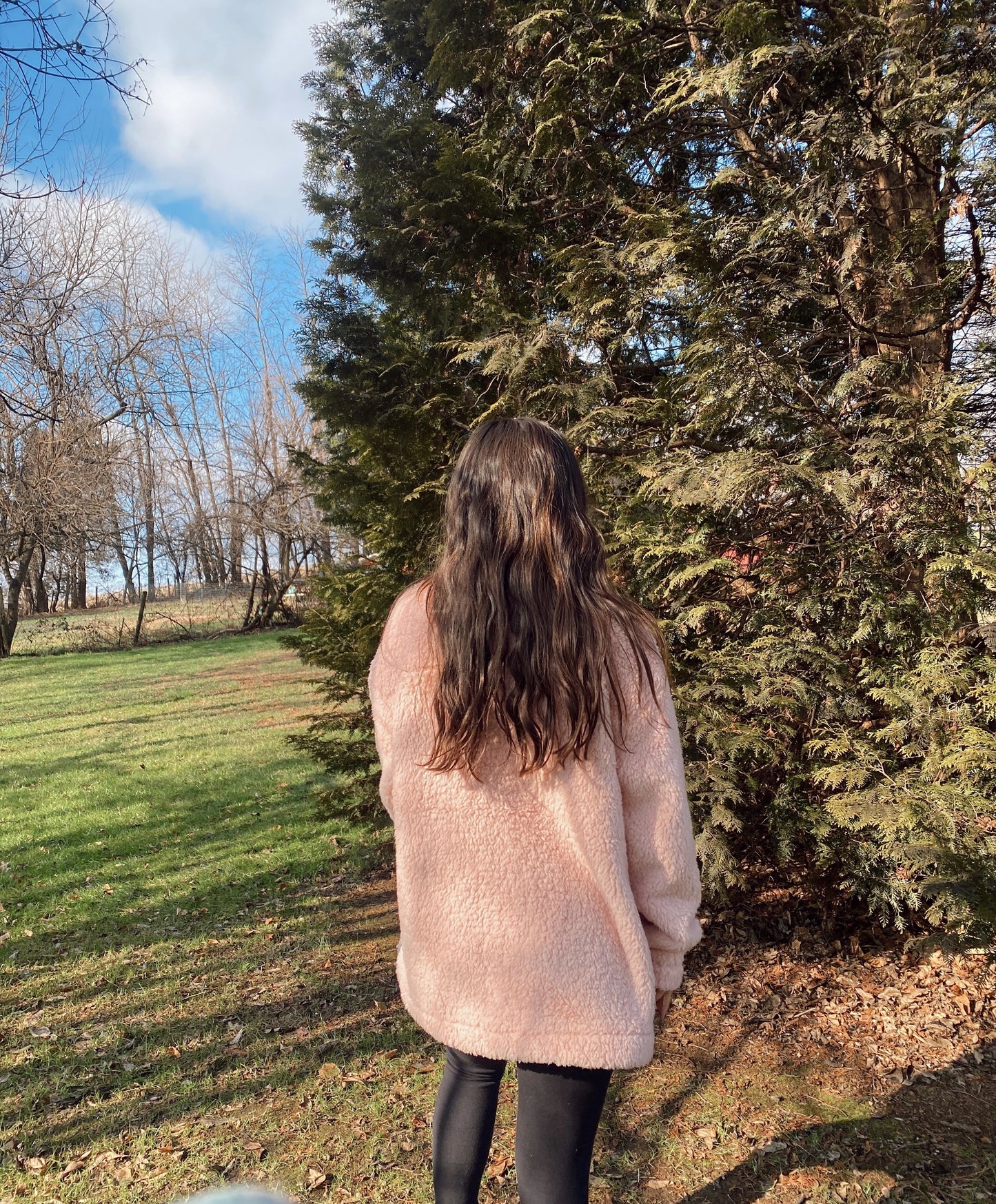 Pink Plush Pullover