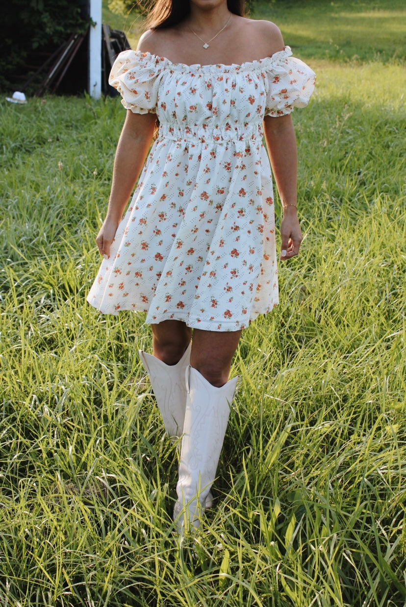 Southern Charm Dress Small